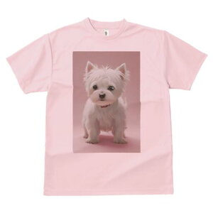 EGXgnChzCgeA TVc  j[NfUCfB[X t@  t vg lJWA 킢 lԗp Mtg I ҏ΍ EGXgnChz