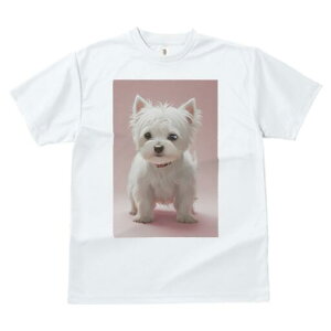 EGXgnChzCgeA TVc  j[NfUCY LbY t@  t vg lJWA 킢 lԗp Mtg I ҏ΍ EGXgnCh