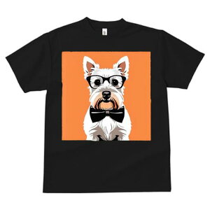 EGXgnChzCgeA TVc  j[NfUCfB[X t@  t vg lJWA 킢 lԗp Mtg I ҏ΍ Kl EGXgnC