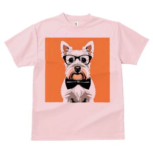 EGXgnChzCgeA TVc  j[NfUCY LbY t@  t vg lJWA 킢 lԗp Mtg I ҏ΍ Kl EGXgn