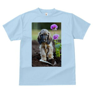 AtKnEh TVc  j[NfUCfB[X t@  t vg lJWA 킢 lԗp Mtg I ҏ΍  AtKnEh  y XRbv