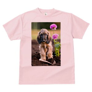 AtKnEh TVc  j[NfUCfB[X t@  t vg lJWA 킢 lԗp Mtg I ҏ΍  AtKnEh  y XRbv