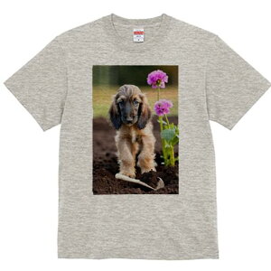 AtKnEh TVc  j[NfUCfB[X t@  t vg lJWA 킢 lԗp Mtg I ҏ΍  AtKnEh  y XRbv