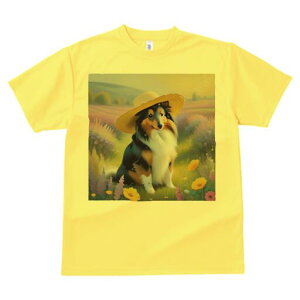 VFeB[ TVc  j[NfUCfB[X t@  t vg lJWA 킢 lԗp Mtg I ҏ΍ Xq VFeB[   i