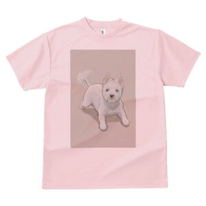 EGXgnChzCgeA TVc  j[NfUCfB[X t@  t vg lJWA 킢 lԗp Mtg I ҏ΍ EGXgnChz