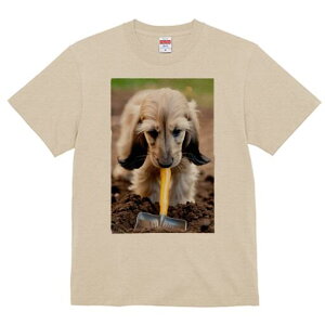 AtKnEh TVc  j[NfUCfB[X t@  t vg lJWA 킢 lԗp Mtg I ҏ΍ Vx AtKnEh y