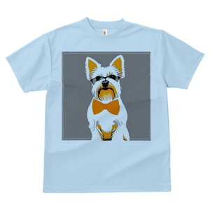 EGXgnChzCgeA TVc  j[NfUCfB[X t@  t vg lJWA 킢 lԗp Mtg I ҏ΍ lN^C EGXgn