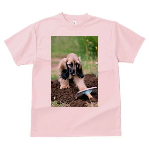 AtKnEh TVc  j[NfUCfB[X t@  t vg lJWA 킢 lԗp Mtg I ҏ΍ y AtKnEh  XRbv