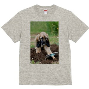 AtKnEh TVc  j[NfUCfB[X t@  t vg lJWA 킢 lԗp Mtg I ҏ΍ y AtKnEh  XRbv