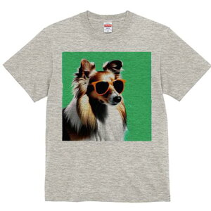 VFbghV[vhbO TVc  j[NfUCfB[X t@  t vg lJWA 킢 lԗp Mtg I ҏ΍ TOX VFbghV