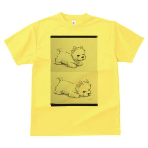 EGXgnChzCgeA TVc  j[NfUCfB[X t@  t vg lJWA 킢 lԗp Mtg I ҏ΍ EGXgnChz