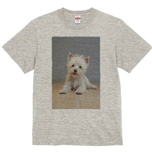 EGXgnChzCgeA TVc  j[NfUCY LbY t@  t vg lJWA 킢 lԗp Mtg I ҏ΍ wi EGXgnC