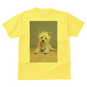 �E�G�X�g�n�C�����h�z���C�g�e���A T�V���c ���� ���j�[�N�f�U�C�����f�B�[�X ���t�@�� ���� �t�� �v�����g ��l�J�W���A�� ���킢�� �l�ԗp �M�t�g ���I �ҏ��΍� �w�i �E�G�X�g�n�C����