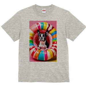 {XgeA TVc  j[NfUCfB[X t@  t vg lJWA 킢 lԗp Mtg I ҏ΍ h[ic {XgeA XC[c َq 