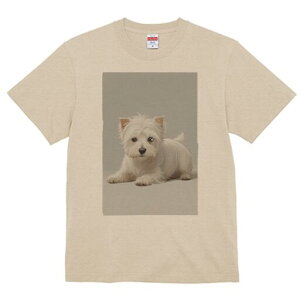 EGXgnChzCgeA TVc  j[NfUCfB[X t@  t vg lJWA 킢 lԗp Mtg I ҏ΍ EGXgnChz