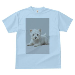 EGXgnChzCgeA TVc  j[NfUCfB[X t@  t vg lJWA 킢 lԗp Mtg I ҏ΍ EGXgnChz