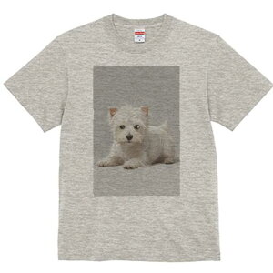 EGXgnChzCgeA TVc  j[NfUCfB[X t@  t vg lJWA 킢 lԗp Mtg I ҏ΍ EGXgnChz