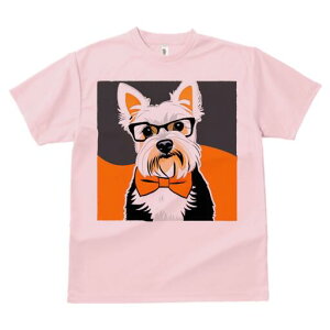 [NV[eA TVc  j[NfUCY LbY t@  t vg lJWA 킢 lԗp Mtg I ҏ΍ Kl [NV[eA lN