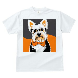 [NV[eA TVc  j[NfUCfB[X t@  t vg lJWA 킢 lԗp Mtg I ҏ΍ Kl [NV[eA lN^