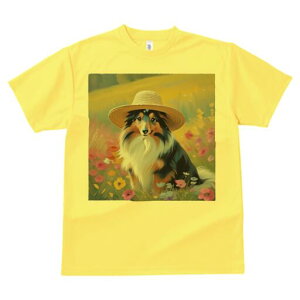 VFbghV[vhbO TVc  j[NfUCfB[X t@  t vg lJWA 킢 lԗp Mtg I ҏ΍ Xq VFbghV[vh