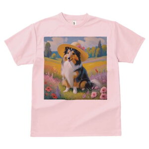 VFbghV[vhbO TVc  j[NfUCfB[X t@  t vg lJWA 킢 lԗp Mtg I ҏ΍ Xq VFbghV[vh