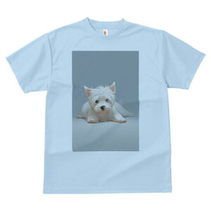 EGXgnChzCgeA TVc  j[NfUCfB[X t@  t vg lJWA 킢 lԗp Mtg I ҏ΍ EGXgnChz