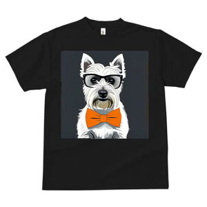 EGXgnChzCgeA TVc  j[NfUCfB[X t@  t vg lJWA 킢 lԗp Mtg I ҏ΍ Kl EGXgnC