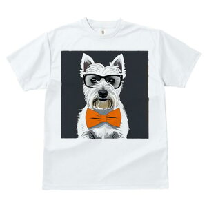 EGXgnChzCgeA TVc  j[NfUCfB[X t@  t vg lJWA 킢 lԗp Mtg I ҏ΍ Kl EGXgnC