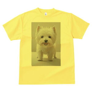 EGXgnChzCgeA TVc  j[NfUCfB[X t@  t vg lJWA 킢 lԗp Mtg I ҏ΍ EGXgnChz