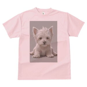 EGXgnChzCgeA TVc  j[NfUCY LbY t@  t vg lJWA 킢 lԗp Mtg I ҏ΍ EGXgnCh