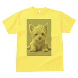 EGXgnChzCgeA TVc  j[NfUCfB[X t@  t vg lJWA 킢 lԗp Mtg I ҏ΍ 킢 EGXgnC