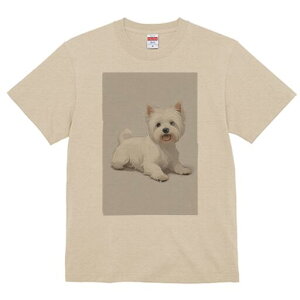 EGXgnChzCgeA TVc  j[NfUCY LbY t@  t vg lJWA 킢 lԗp Mtg I ҏ΍ EGXgnCh