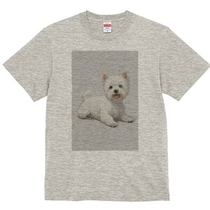 EGXgnChzCgeA TVc  j[NfUCfB[X t@  t vg lJWA 킢 lԗp Mtg I ҏ΍ EGXgnChz