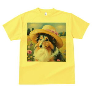 VFbghV[vhbO TVc  j[NfUCfB[X t@  t vg lJWA 킢 lԗp Mtg I ҏ΍ Xq VFbghV[vh