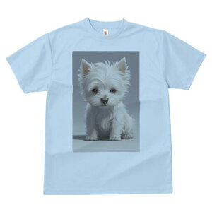 EGXgnChzCgeA TVc  j[NfUCY LbY t@  t vg lJWA 킢 lԗp Mtg I ҏ΍ EGXgnCh