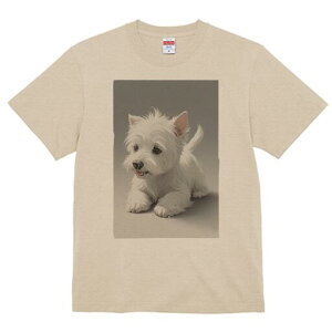 EGXgnChzCgeA TVc  j[NfUCfB[X t@  t vg lJWA 킢 lԗp Mtg I ҏ΍ EGXgnChz