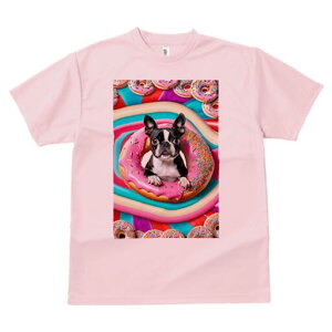 {XgeA TVc  j[NfUCY LbY t@  t vg lJWA 킢 lԗp Mtg I ҏ΍ h[ic {XgeA XC[c 