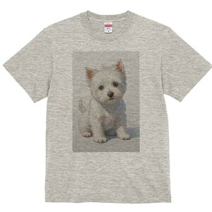 EGXgnChzCgeA TVc  j[NfUCfB[X t@  t vg lJWA 킢 lԗp Mtg I ҏ΍ EGXgnChz