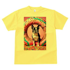 {XgeA TVc  j[NfUCfB[X t@  t vg lJWA 킢 lԗp Mtg I ҏ΍ h[ic {XgeA XvN