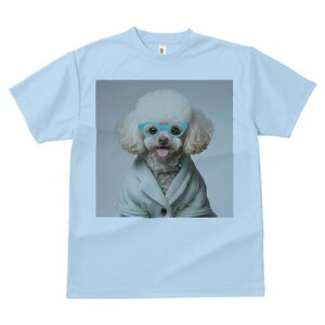 gCv[h TVc  j[NfUCfB[X t@  t vg lJWA 킢 lԗp Mtg I ҏ΍ Kl gCv[h 