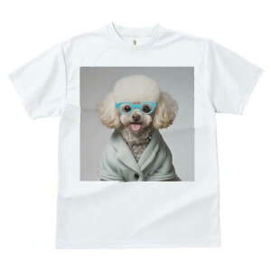 gCv[h TVc  j[NfUCfB[X t@  t vg lJWA 킢 lԗp Mtg I ҏ΍ Kl gCv[h 