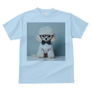 gCv[h TVc  j[NfUCfB[X t@  t vg lJWA 킢 lԗp Mtg I ҏ΍ Kl gCv[h lN^C