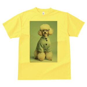 v[h TVc  j[NfUCfB[X t@  t vg lJWA 킢 lԗp Mtg I ҏ΍ Z[^[ v[h Kl 