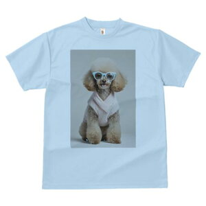 gCv[h TVc  j[NfUCY LbY t@  t vg lJWA 킢 lԗp Mtg I ҏ΍ Kl gCv[h Z[^[