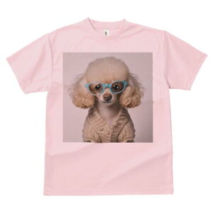 gCv[h TVc  j[NfUCfB[X t@  t vg lJWA 킢 lԗp Mtg I ҏ΍ Kl gCv[h J[fBK