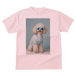 v[h TVc  j[NfUCfB[X t@  t vg lJWA 킢 lԗp Mtg I ҏ΍ Z[^[ v[h TOX