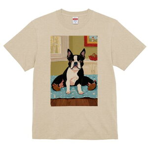 {XgeA TVc  j[NfUCfB[X t@  t vg lJWA 킢 lԗp Mtg I ҏ΍  {XgeA  Ƌ G