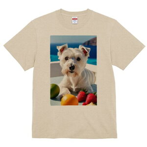 �E�G�X�g�n�C�����h�z���C�g�e���A T�V���c ���� ���j�[�N�f�U�C�����f�B�[�X ���t�@�� ���� �t�� �v�����g ��l�J�W���A�� ���킢�� �l�ԗp �M�t�g ���I �ҏ��΍� ���C�� �E�G�X�g�n�C��