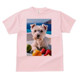 EGXgnChzCgeA TVc  j[NfUCfB[X t@  t vg lJWA 킢 lԗp Mtg I ҏ΍ C EGXgnC