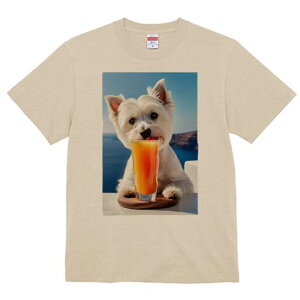 EGXgnChzCgeA TVc  j[NfUCfB[X t@  t vg lJWA 킢 lԗp Mtg I ҏ΍ W[X EGXgnC